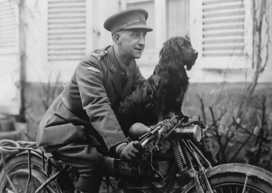 Sergeant Stubby: The World War I Hero Dog Who Touched Hearts and Ended Up on the White House Lawn