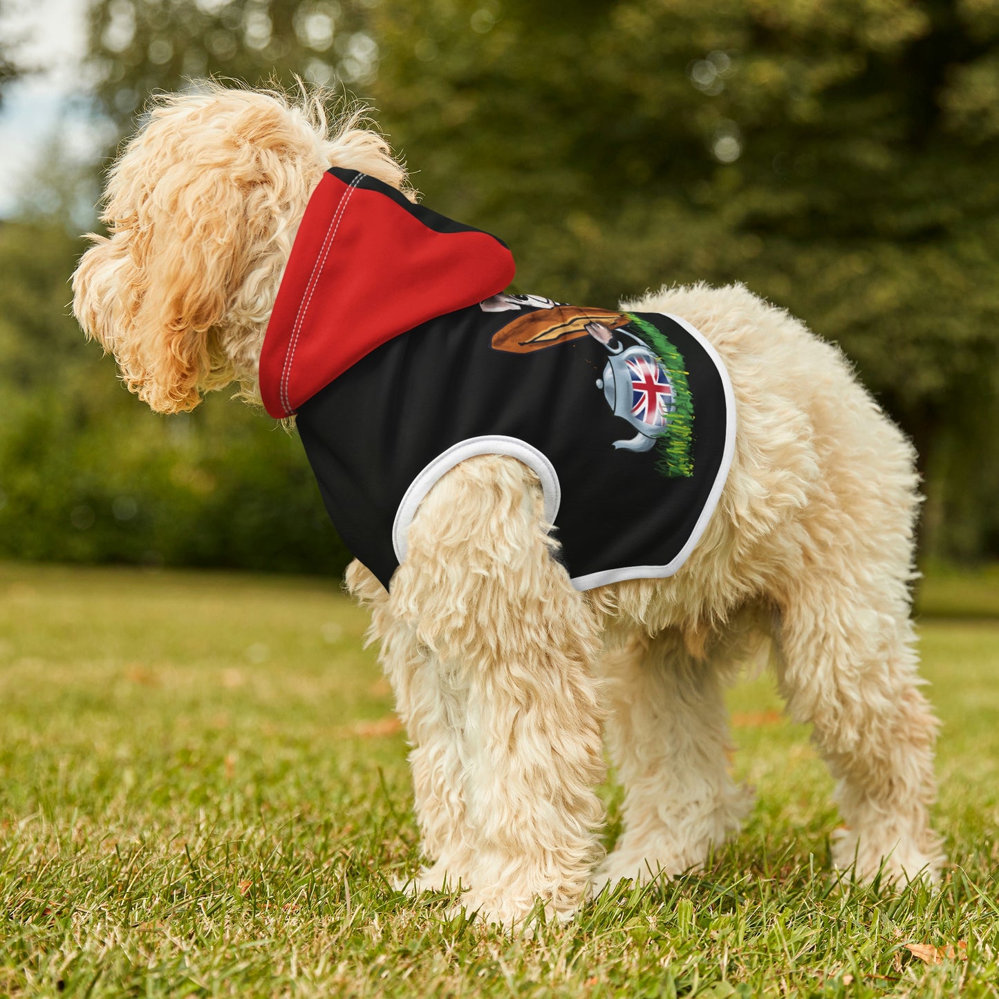 Dog Hoodie French Bulldog