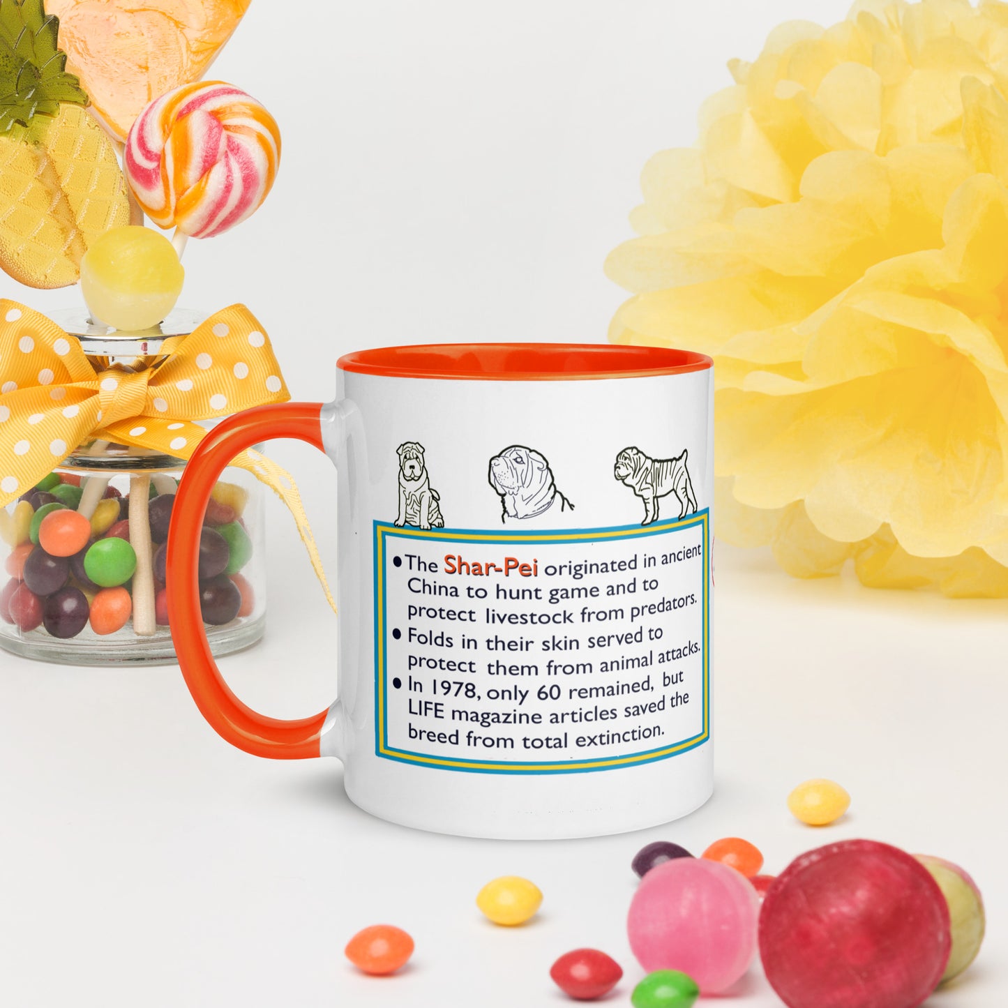 Info Mug Dog Shar-Pei (Sharpei)
