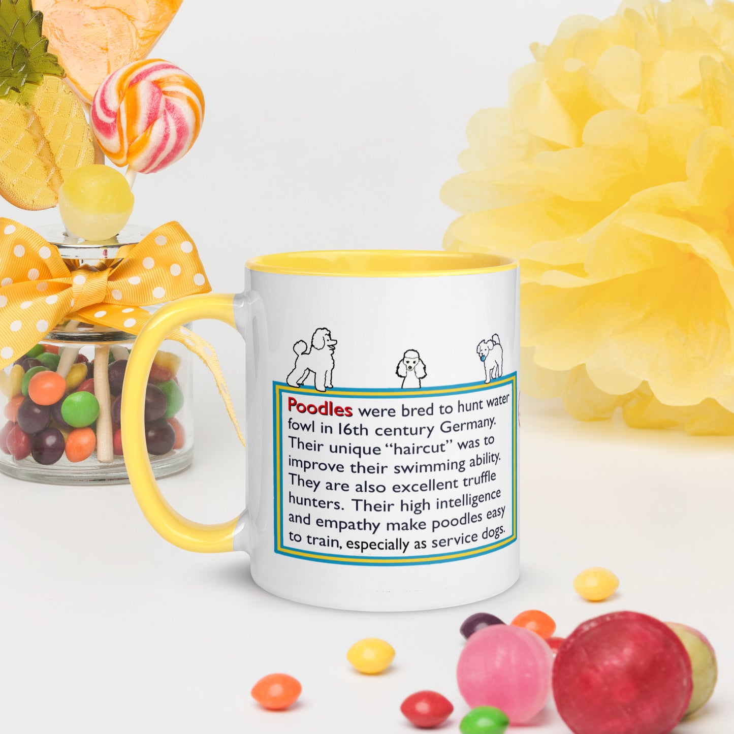 Info Mug Dog Poodle
