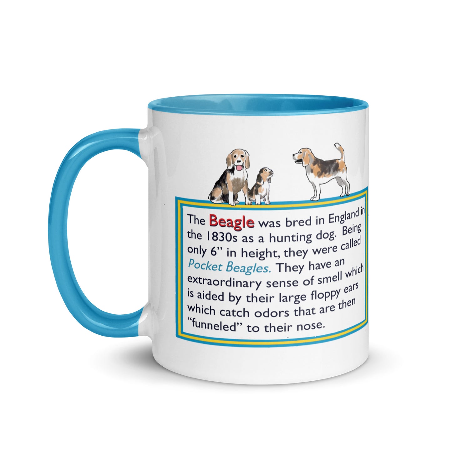 Info Mug Dog Beagle