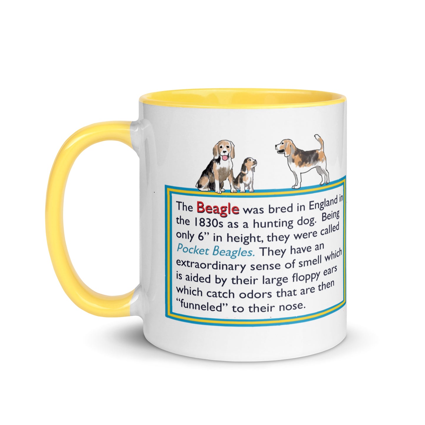 Info Mug Dog Beagle